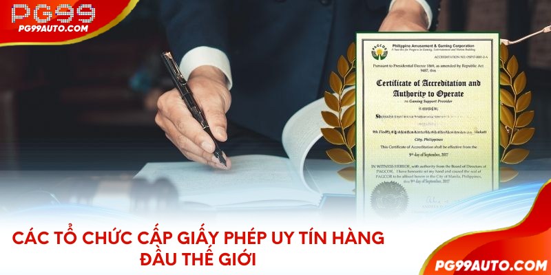 Các tổ chức cấp giấy phép uy tín hàng đầu thế giới