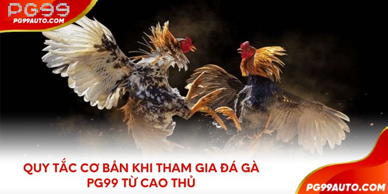 Quy tắc cơ bản khi tham gia đá gà PG99 từ cao thủ