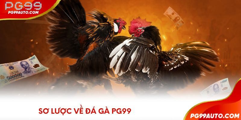 Sơ lược về đá gà PG99